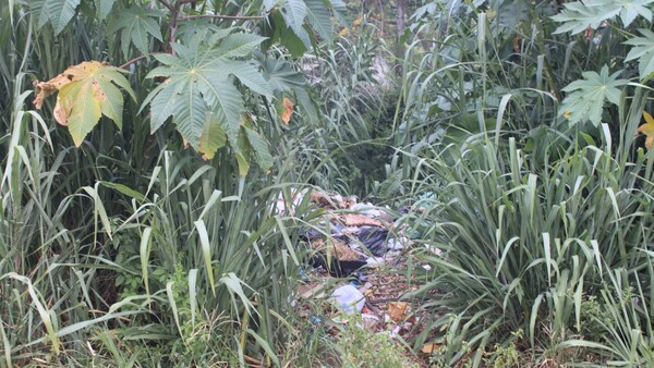Vecinos de Ñemby reclaman compromiso municipal en la lucha contra el dengue