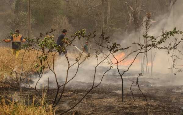 Infona prolonga la suspensión de quemas para prevenir incendios forestales - .::Agencia IP::.