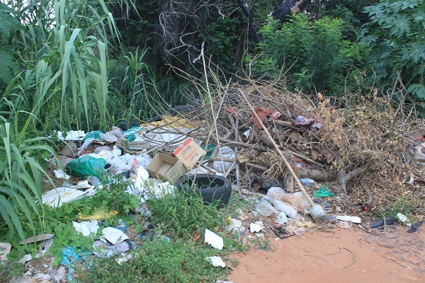 Vecinos de Ñemby denuncian inoperancia de intendente ante el dengue