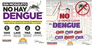 AUMENTO DE CASOS DE DENGUE EN CARLOS A. LÓPEZ - Itapúa Noticias