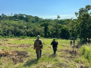 En Operación Basalto eliminan 60 toneladas de marihuana - ADN Digital
