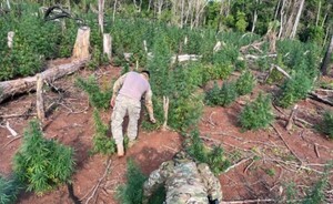 Paraguay y Brasil  contra el crimen organizado en la frontera