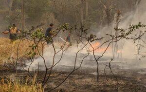 Extienden hasta fines de febrero la prohibición de quemas controladas
