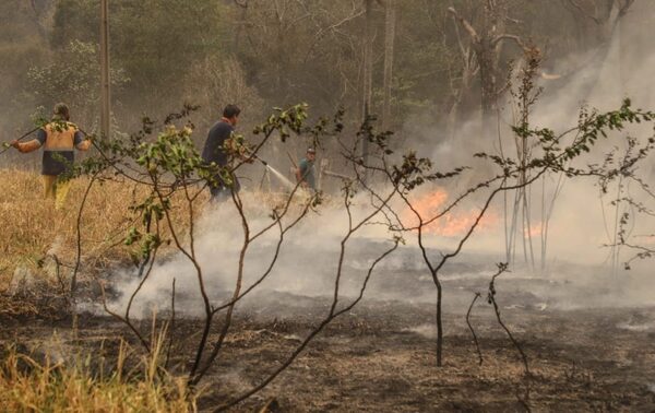Extienden hasta fines de febrero la prohibición de quemas controladas