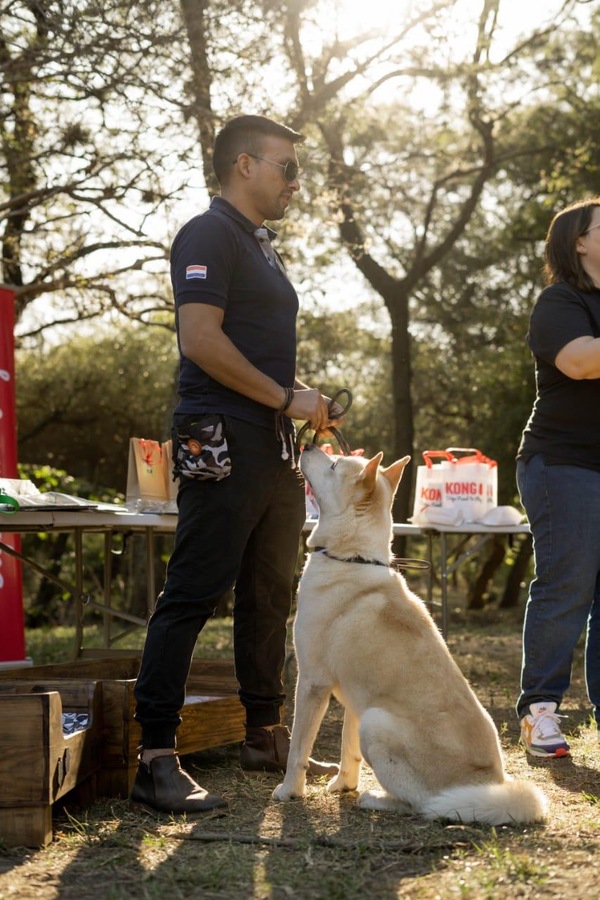 Entre ladridos y aprendizajes: una charla con Psicodog sobre adiestramiento canino a domicilio y el bienestar animal en Paraguay. - La Tribuna