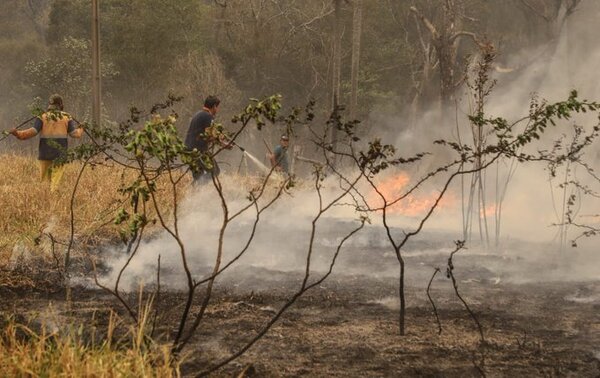 Infona prolonga la suspensión de quemas para prevenir incendios forestales