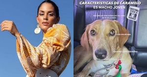 Fabi Martínez pide ayuda para encontrar a su hijo perruno “Caramelo” - EPA
