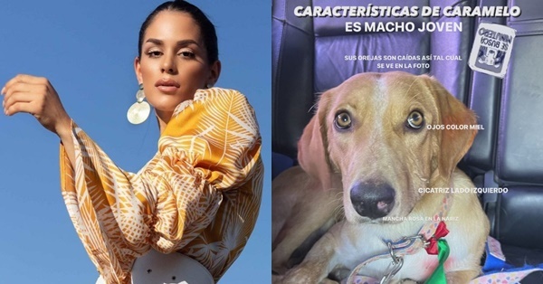 Fabi Martínez pide ayuda para encontrar a su hijo perruno “Caramelo” - EPA