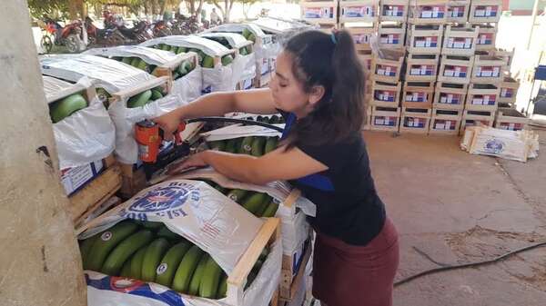 Productores repudian intención del MEC de excluir la banana de la merienda escolar - Nacionales - ABC Color