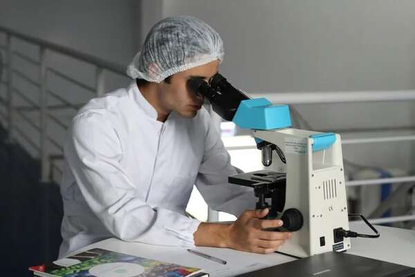 “Hambre cero” genera preocupación en investigadores ante posible falta de fondos - Nacionales - ABC Color