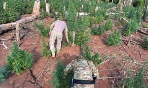 Brasil y Paraguay lanzaron Operación Basalto, contra crimen organizado en las fronteras - La Tribuna
