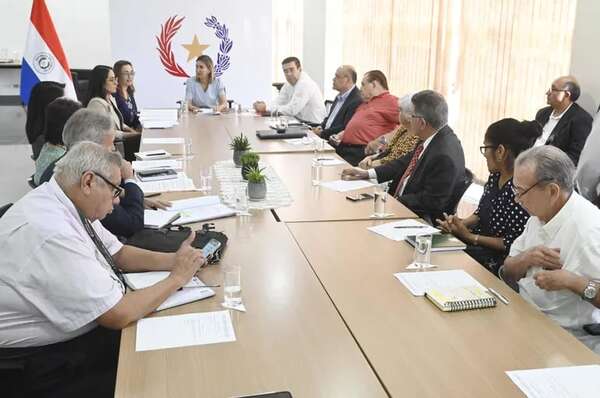 Consejo de Seguridad Social: ministra asegura que se integrará con 6 miembros - Economía - ABC Color