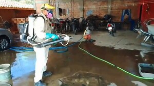 Municipios, en guardia contra el dengue