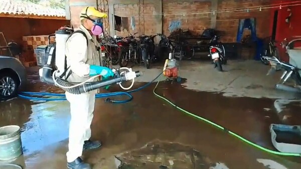 Municipios, en guardia contra el dengue