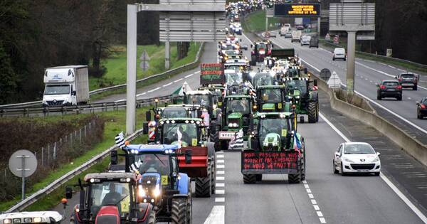 La Nación / Suspenden bloqueos en Francia tras promesas de ayudas agrarias
