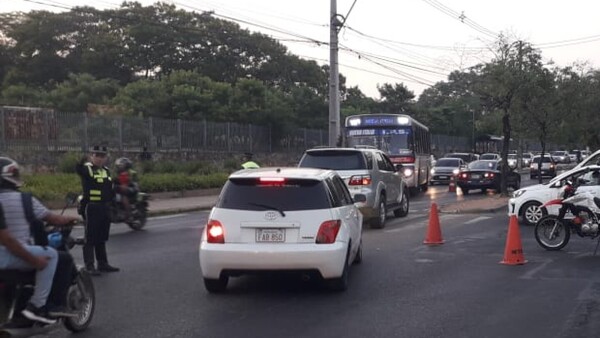 Cae frondoso árbol, derriba columnas y bloquea carril de avenida en Asunción