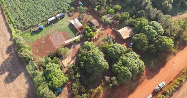 Diario HOY | Intervienen granja de criptomonedas con conexión clandestina