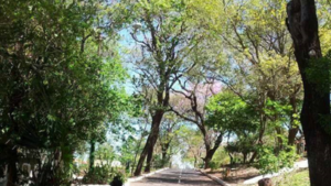 Comuna de Asunción reconoce falta de inversión para mantenimiento de plazas