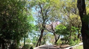 Asunción: ¿Por qué las plazas están en mal estado?