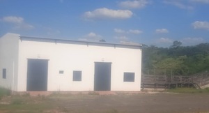 Matadero nuevo sigue sin funcionar, y el antiguo a punto de desplomarse - Noticiero Paraguay