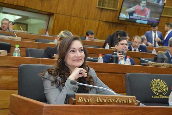 Diputada dice que el Gobierno tiene la mirada puesta en CDE - La Clave