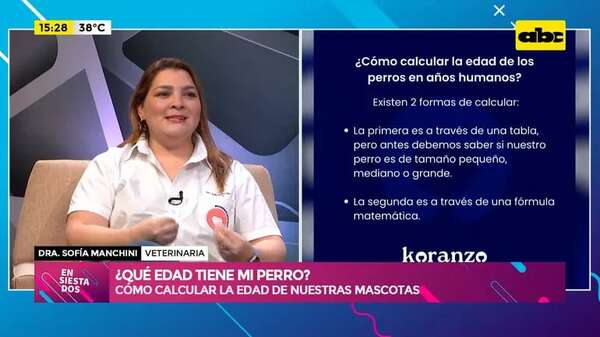 ¿Qué edad tiene mi perro?: cómo calcular la edad de nuestras mascotas - Ensiestados - ABC Color