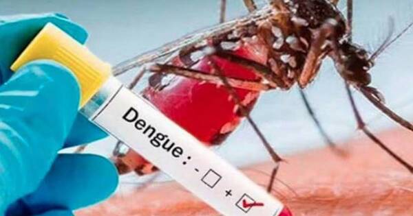 La Nación / Río de Janeiro enfrenta una epidemia de dengue alcanzando el máximo histórico de infectados
