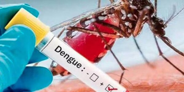 Río de Janeiro enfrenta una epidemia de dengue alcanzando el máximo histórico de infectados