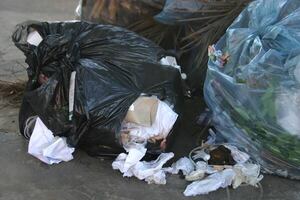Arrojan basura patológica en una vía pública de Concepción e intervino la Municipalidad - ADN Digital