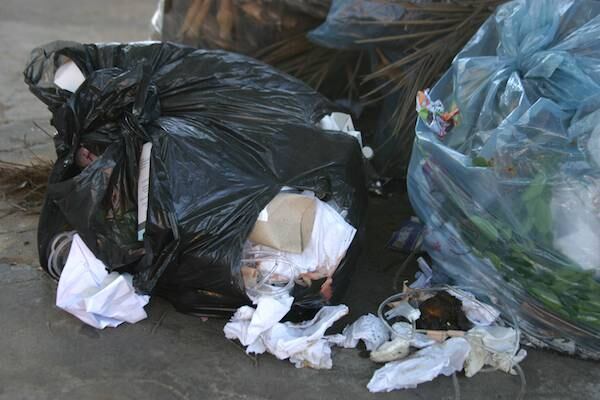 Arrojan basura patológica en una vía pública de Concepción e intervino la Municipalidad - ADN Digital