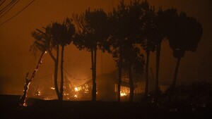 Estado de excepción en región central de Chile por incendios forestales y unas 19 muertes