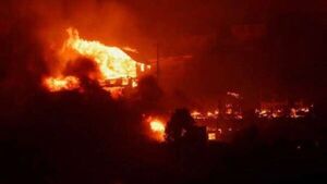 Confirman 46 muertos por incendios forestales en Chile