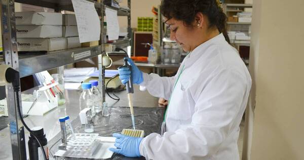 La Nación / Maestrías y doctorados de excelencia