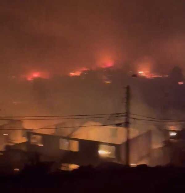 Devastación en Chile: el número de muertos por los incendios ascendió a 51 y hay más de 370 desaparecidos - ADN Digital