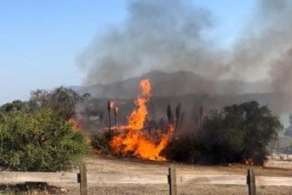 Ascienden a 46 los muertos por incendios en Chile | 1000 Noticias