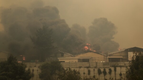 Ascienden a 46 los fallecidos en los múltiples incendios que devastan el centro de Chile