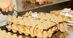 La Nación / Destacan crecimiento en la producción de huevos, lo que genera estabilidad en precios