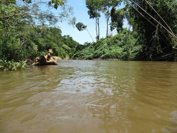 Buscan a un chiquito que, se cree, cayó a las aguas del río Aquidabán