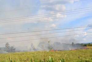 Carapeguá: incendio en pasrizal al costado de la ruta PY01 - Nacionales - ABC Color