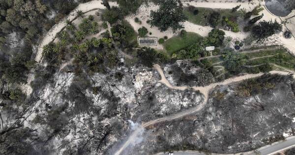 La Nación / Incendios en Chile no pueden ser controlados y hay 64 fallecidos