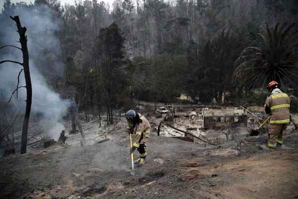 Aumenta a 99 los muertos por incendios forestales sin tregua en Chile
