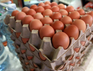Destacan crecimiento en la producción de huevos, lo que genera estabilidad en precios