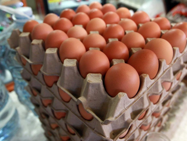 Destacan crecimiento en la producción de huevos, lo que genera estabilidad en precios