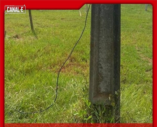 FUE A ORINAR POR  UNA COLUMNA Y TERMINÓ MURIENDO ELECTROCUTADO 