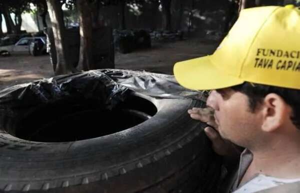 Dengue: contabilizan 36 muertos, de los cuales 11 eran niños - Economía - ABC Color