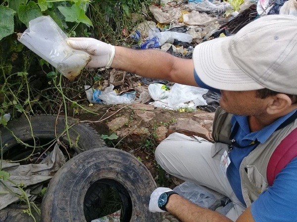 Inactivan más de 10.000 criaderos durante minga en Coronel Oviedo - ADN Digital