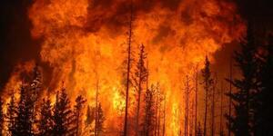 Elevan a 112 los muertos por los incendios forestales en Chile - ADN Digital