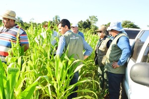 Técnicos de la EBY verifican parcelas productivas en Misiones para fortalecer la agricultura familiar