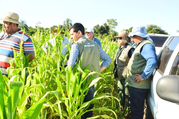 Técnicos de la EBY verifican parcelas productivas en Misiones para fortalecer la agricultura familiar