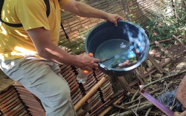 Paraguay reporta más de 5.600 casos y 36 fallecidos por dengue, y suenan alarmas – Diario TNPRESS